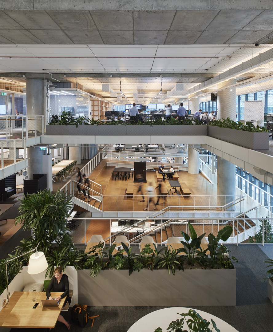 Hassell | Arup's Brisbane workplace